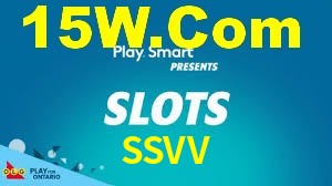 Premium Interface SSVV